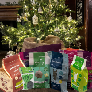 Luxury Silvermoor Christmas Sack under the Christmas Tree