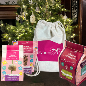 Silvermoor's Unicorn Christmas sack under the Christmas tree